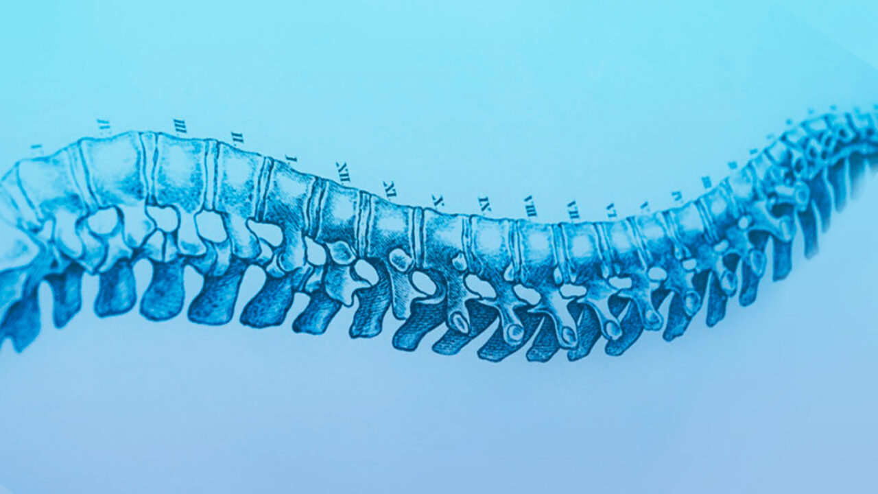 The Largest Study Ever on Vertebral Subluxation